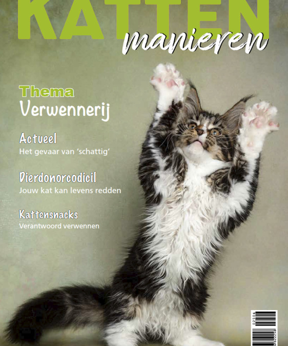 Verantwoord verwennen